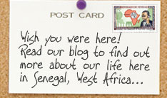 sabot family blog